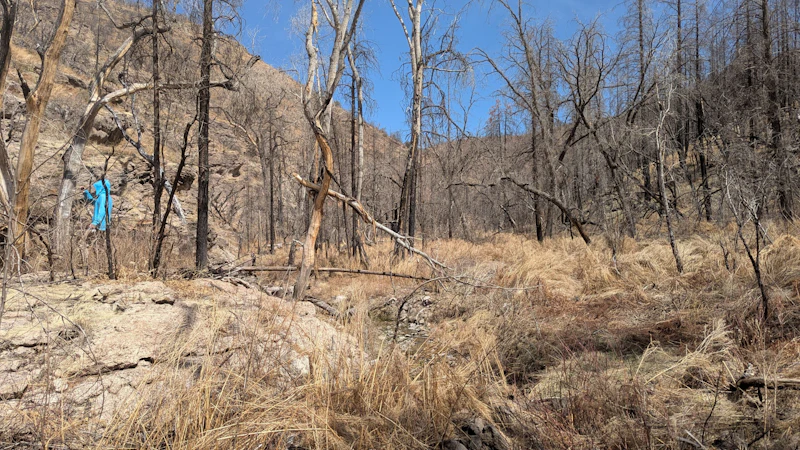 a dry and burned desert landscape