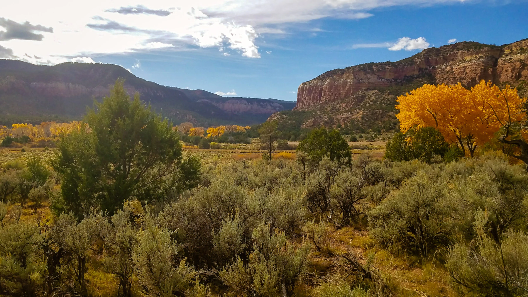 Red rock cliffs of the Santa Fe National Forest in the fall.