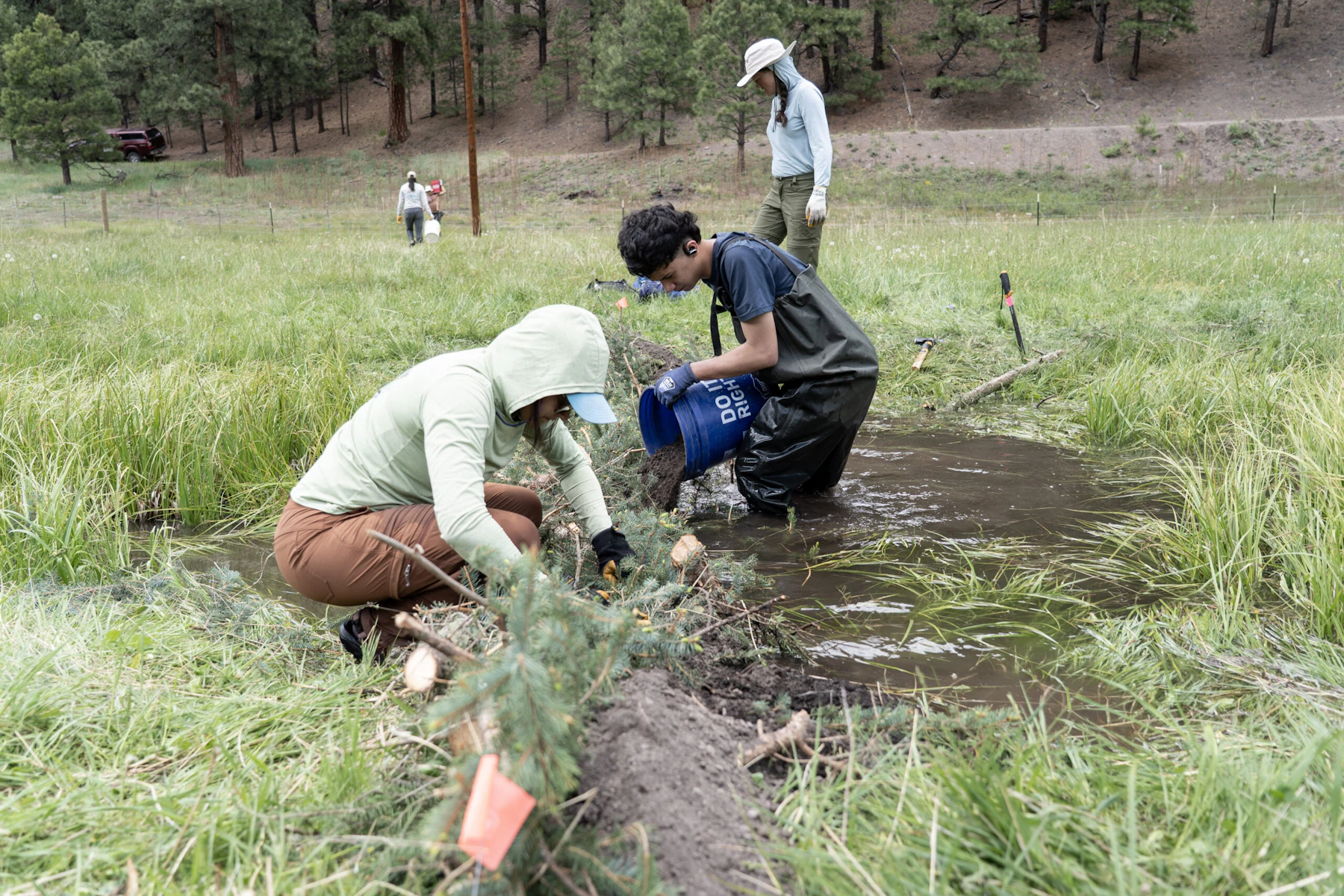 Crews works on a wetland restoration project.