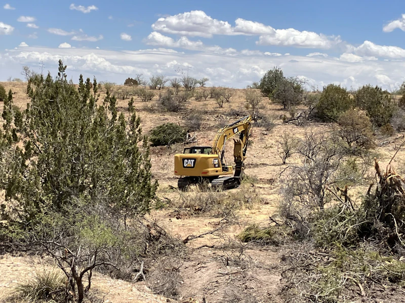 A hand-thinning crew member removes overstocked as part of a grassland restoration project in O'Donnell Canyon, Canelo Hills in Southern Arizona.