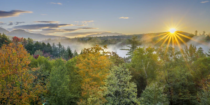 A brilliant fall sunrise breaks over the misty forest canopy of White Mountain National Forest in New Hampshire, with golden and green foliage stretching across the landscape.