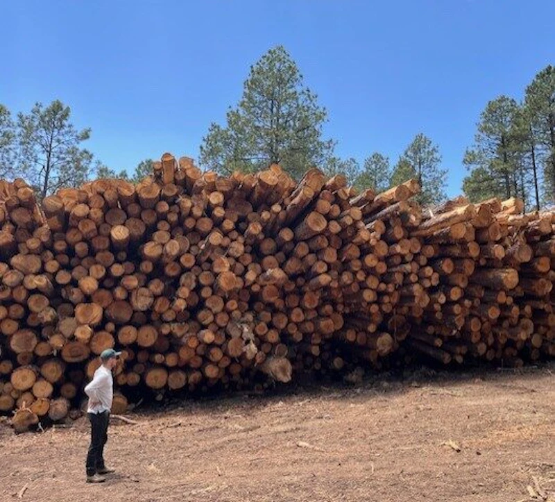 Man stands by a log pile three times his size.