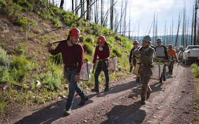 Tree planting crew heads into the forest.