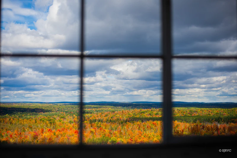 Window view of an autumn forest.