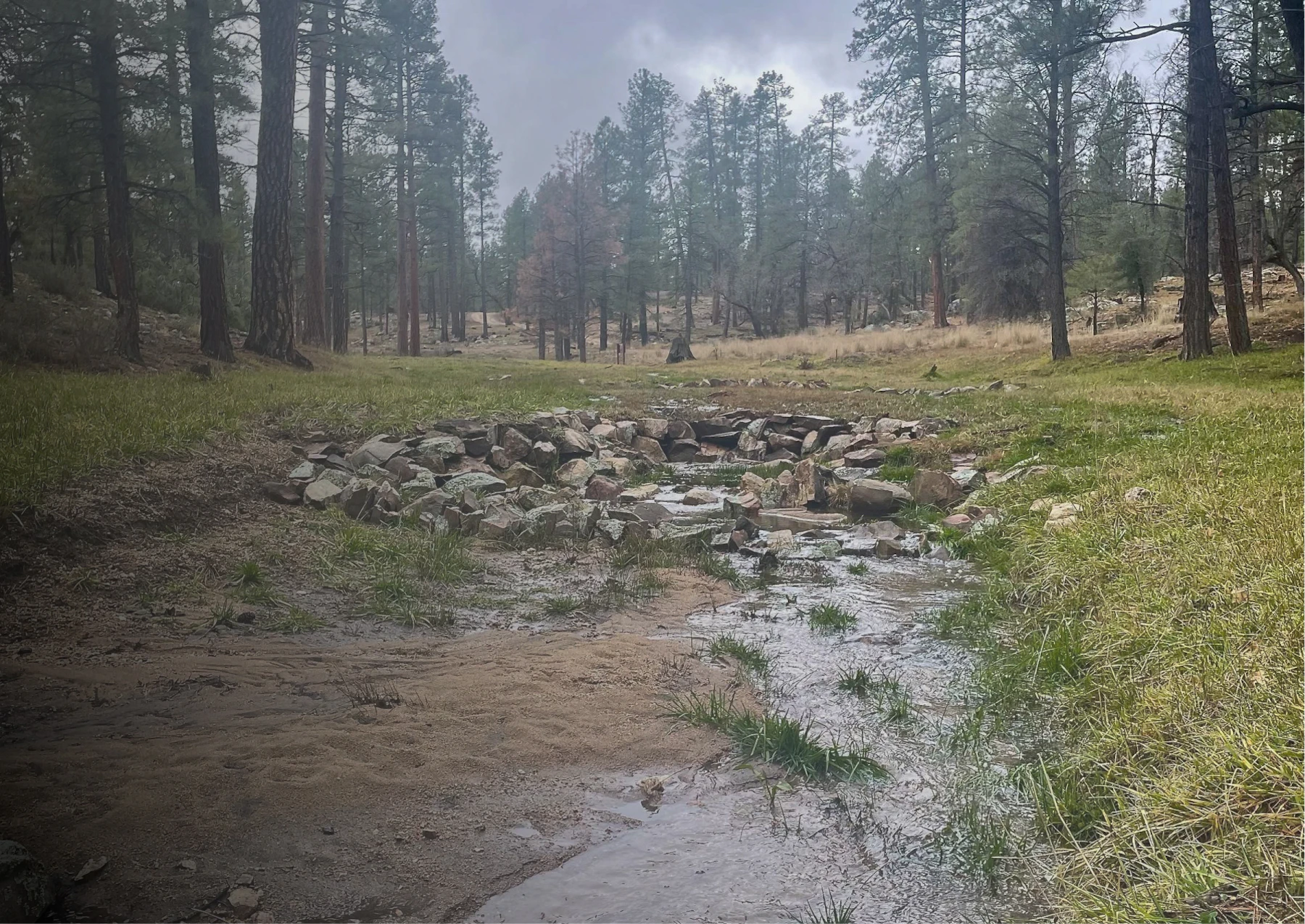Photo of Stringtown Wash-Pine Creek Watershed Project in Prescott National Forest. Hybrid Media Luna Structure & One Rock Dam - Photos taken 1/5/2026