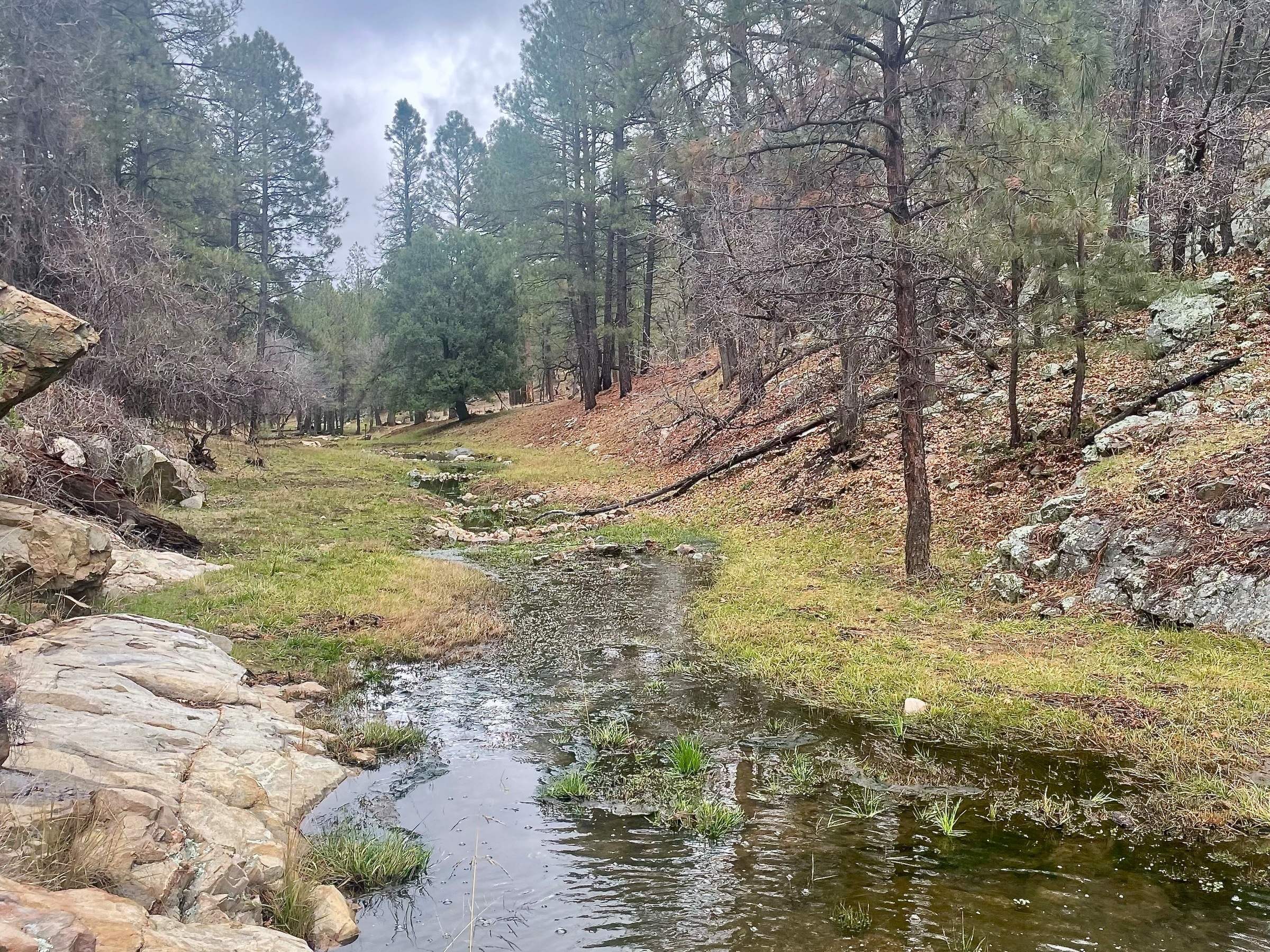 Stringtown Wash-Pine Creek Watershed Project Work - In the distance: One Rock Dam Structure Impact. Photo taken 1/5/2026.