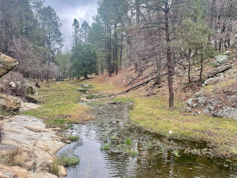 Stringtown Wash-Pine Creek Watershed Project Work - In the distance: One Rock Dam Structure Impact. Photo taken 1/5/2026.