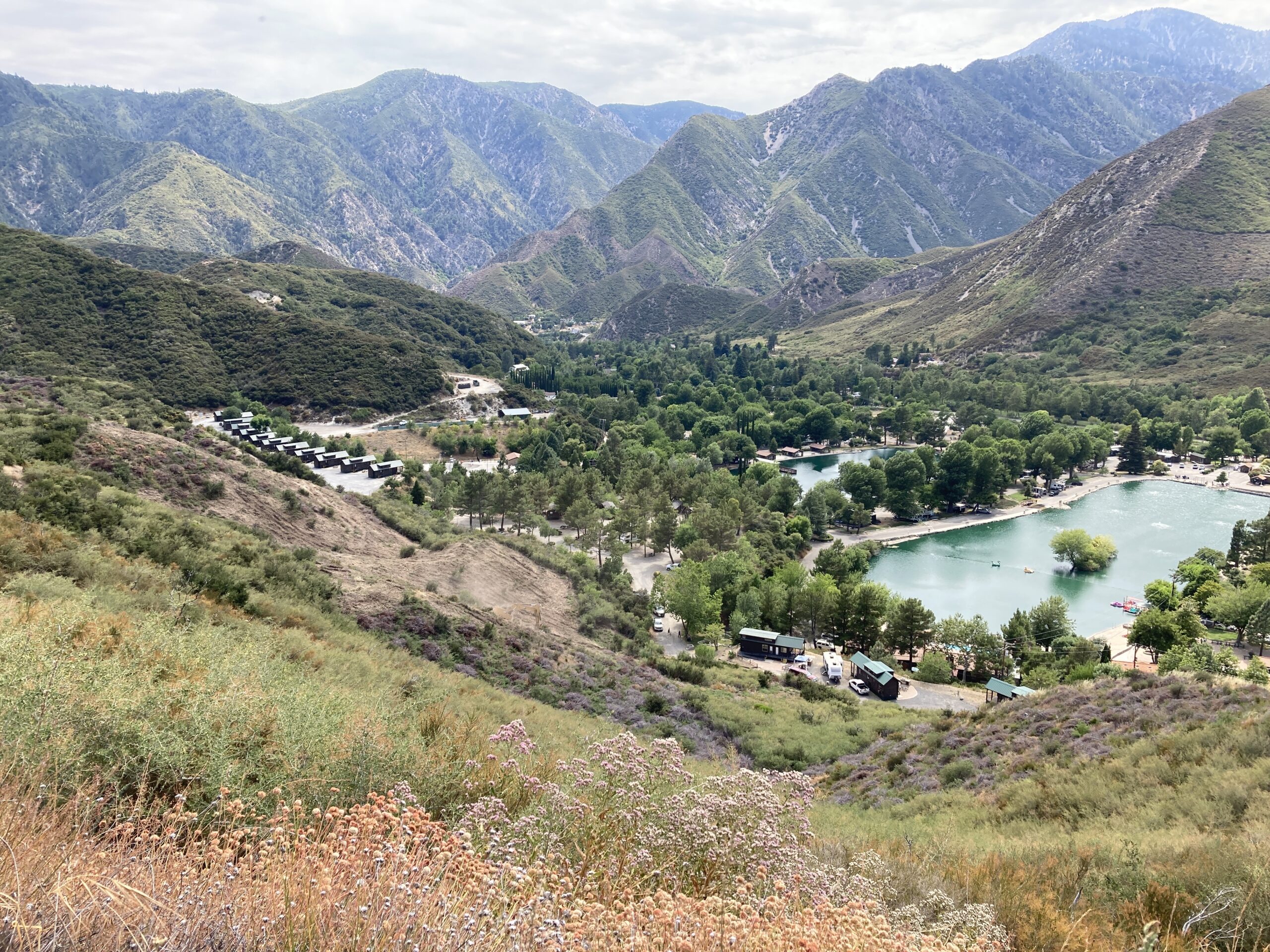 Lytle Creek fuel reduction/fuelbreak Project Area 2024-2025