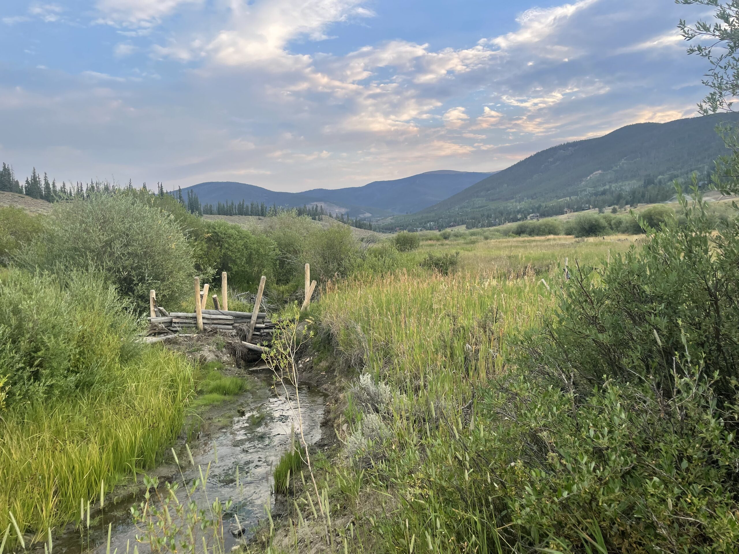 Soda Creek Beaver Dam Analogs Low-Tech, Process-Based Restoration (LTPBR) 8/22/2025